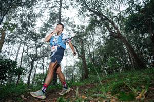 BIB: 1847
                            <button type="button" onclick="openModal(22569266)" class="btn btn-primary btn-sm float-right btn-popup" data-toggle="modal" data-target=".modal-high-quality">
                        <i class="fas fa-shopping-cart"></i> Add to Cart
                    </button>
                                            <button type="button" onclick="isThisMe(22569266, true)" class="btn btn-success btn-sm float-right btn-popup btn-isme hidden" data-toggle="tooltip" data-placement="bottom" title="นี่คือรูปของคุณใช่ไหม คลิกที่นี่เพื่อเอาเข้าอัลบั้ม">
                        <i class="fas fa-plus"></i> Add to album
                    </button>
                    <button type="button" onclick="isThisMe(22569266, false)" class="btn btn-warning btn-sm float-right btn-popup btn-isnotme hidden">
                        <i class="fas fa-ban"></i> Remove from album
                    </button>